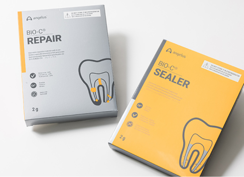 MTAセメントを利用しての根管治療